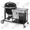 SUMMIT CHARCOAL GRILLING CENTER