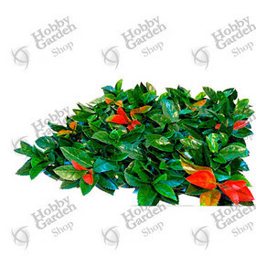 Siepe Artificiale Photinia