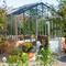 Giardino d'inverno Dalia 