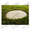Oval Stepping