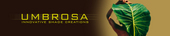 Umbrosa