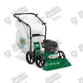 Aspirafoglie KV 600