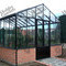 Giardino d'inverno Dalia 