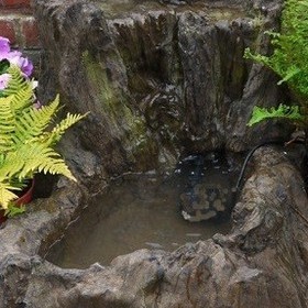 Stump Falls and pond