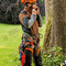 Giacca ADVANCE X-SHELL arancione/nero