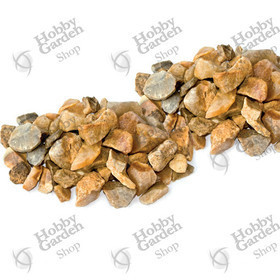 Chard Flint