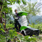 Biotrituratore GE 450