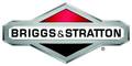 Briggs & Stratton