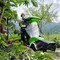 Biotrituratore GE 420