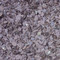 Crushed Slate Plum 40 mm