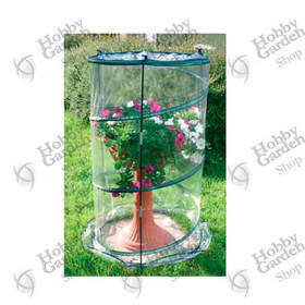 Serra Pop-Up Anthurium